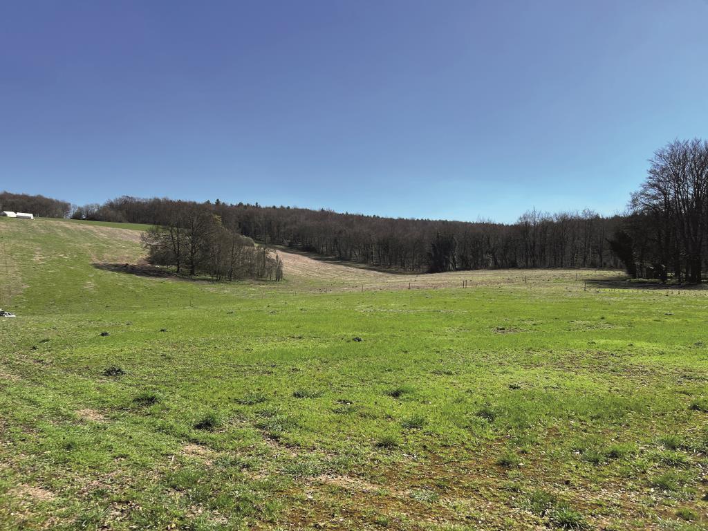 Lot: 69 - 1.75 ACRES OF FREEHOLD LAND - Plot of Approximately 1.75 acres freehold land for sale